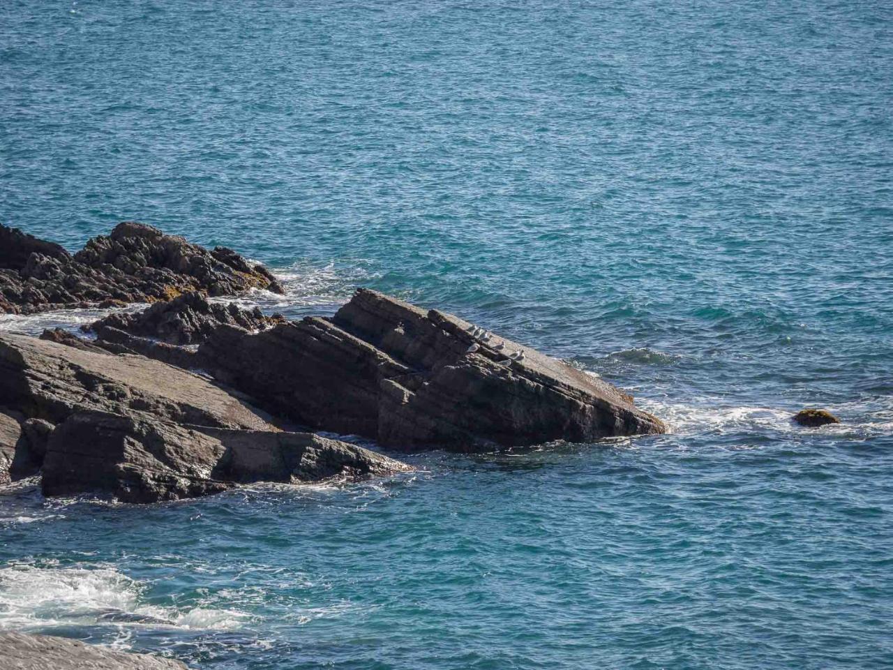 Unda De Ma Sea View Terrace Apartment Vernazza Buitenkant foto